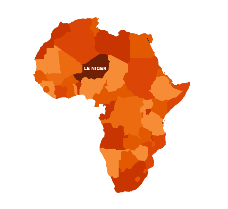 afrique niger